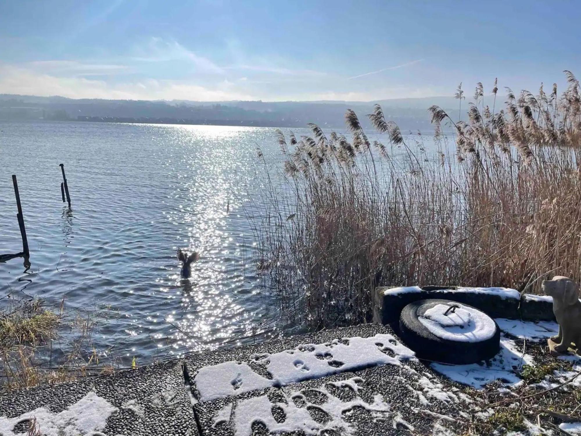 Seeluft Direkt Am Wasser Reichenau Kültér fotó